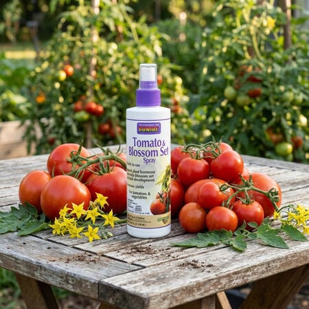 Tomato and Vegetable Blossom Spray,  Fertilizers image number null